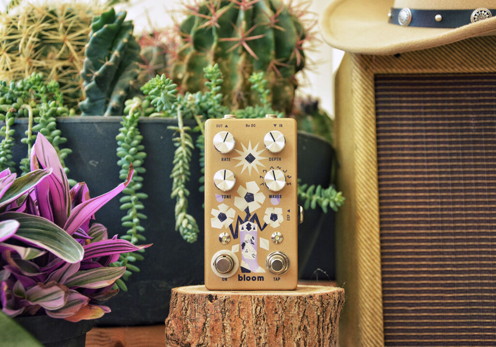 Bloom pedal overdrive per chitarra cactus piante fiori illustrazione minimal editoriale commercial illustration